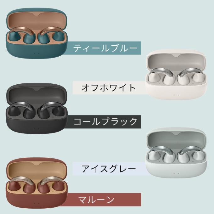 JVCケンウッド（JVC KENWOOD） ビクター ワイヤレスイヤホン HA-NP1T