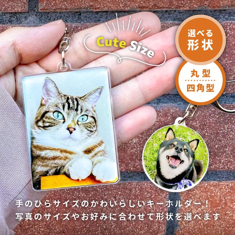 写真 名入れ キーホルダー オリジナル アクリル 5個 セット ( 丸型