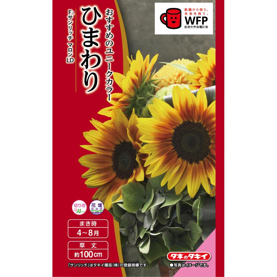 花種 NL300 ひまわり F1 サンリッチマロンLD 小袋 [FHM464]【花の種
