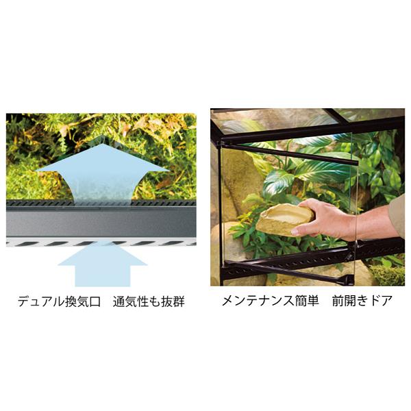 GEX（ジェックス） グラステラリウム ナノ PT2601 爬虫類 両生類用品