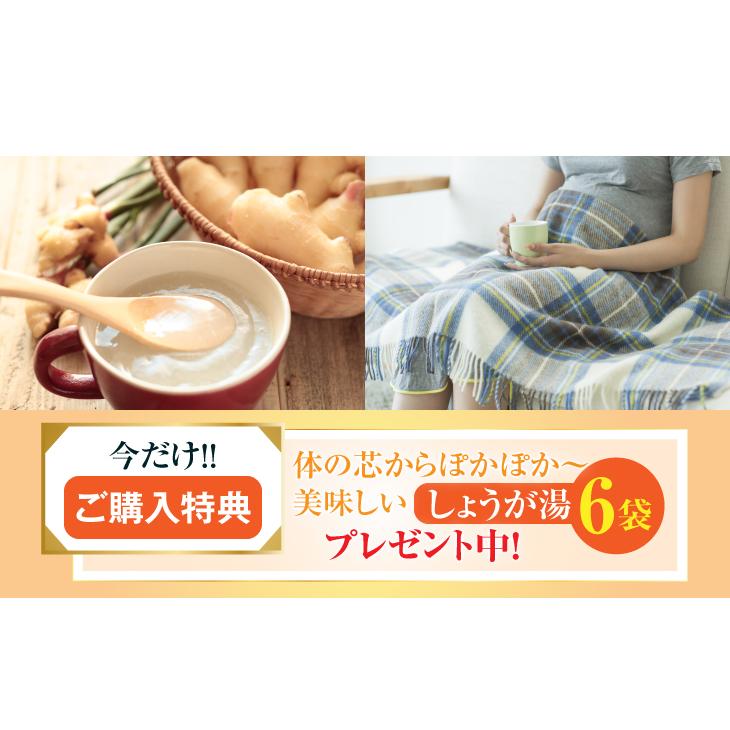 徳潤 たんぽぽ茶 ショウキT-1 プラス 100ml × 30包 ノンカフェイン 徳