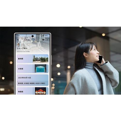 SHARP AQUOS R10 256 B SIMフリースマートフォン RAM12GB ROM256GB