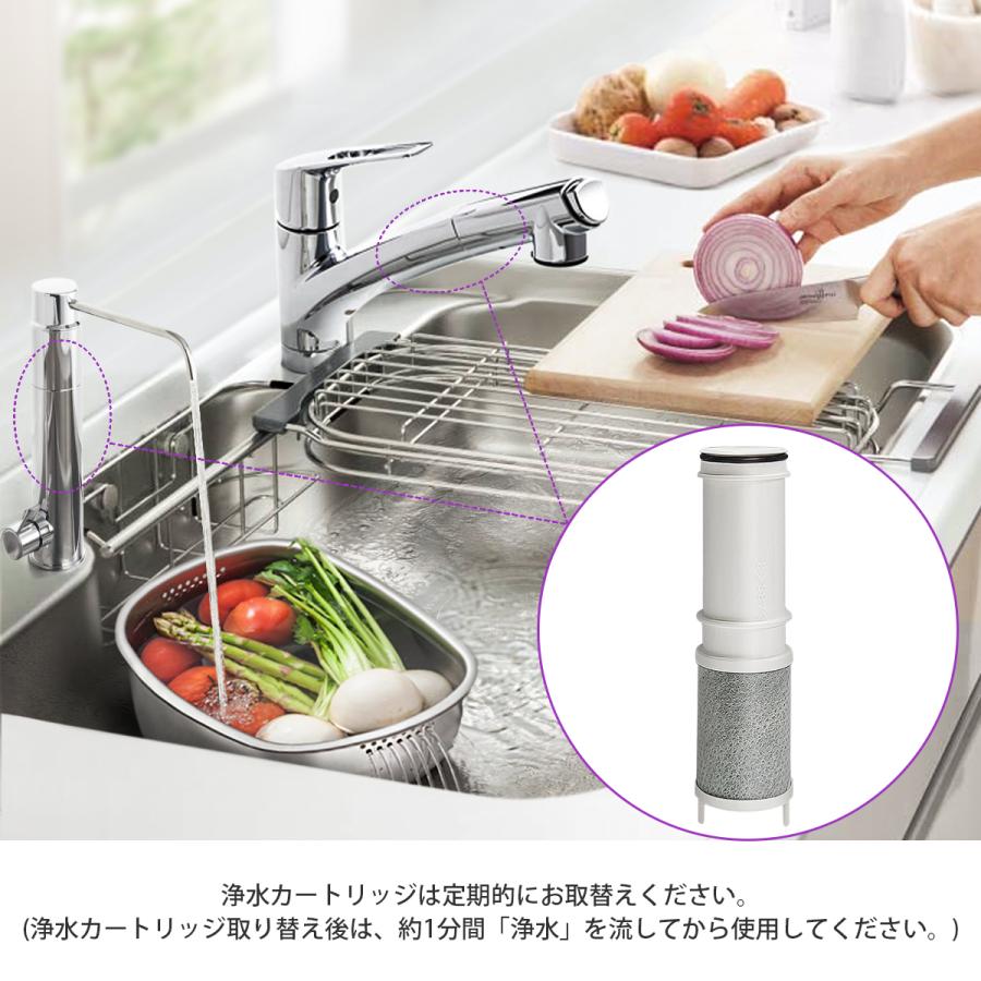 SEPZS2103PC 浄水器カートリッジ PZS210PC 浄水器一体型シャワー混合水