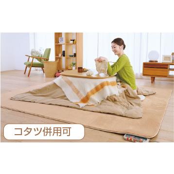 ゼンケン 【クーポンで11000円OFF】 2025年モデル ホットカーペット