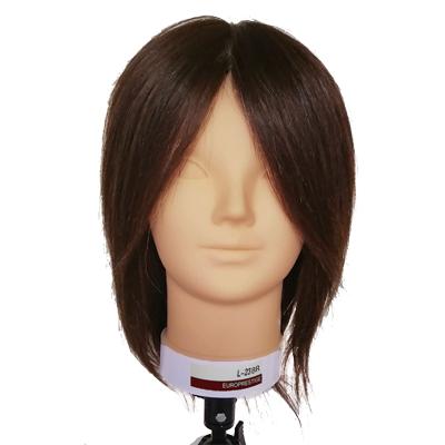 ユーロプレステージ 美容師カット練習用 カットウィッグ L-23BR : yes