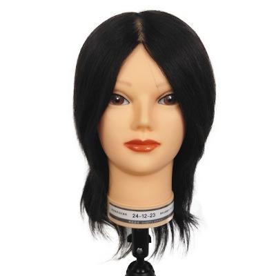 ユーロプレステージ 国家試験美容師本番用 カットウィッグ 24-12-23 3