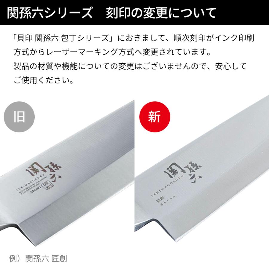 関孫六 貝印 包丁 わかたけ 冷凍ナイフ（食洗器対応） 刃渡り21cm AB
