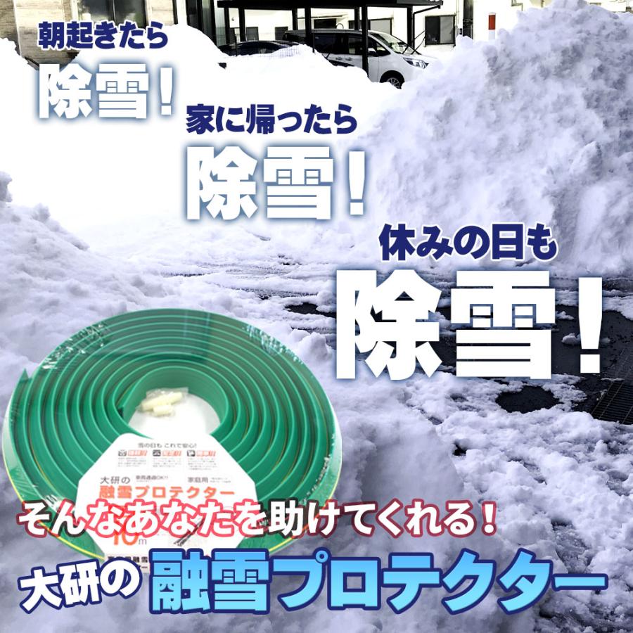 融雪ホース 大研の融雪プロテクター 10m 両面穴 グリーン 2個セット