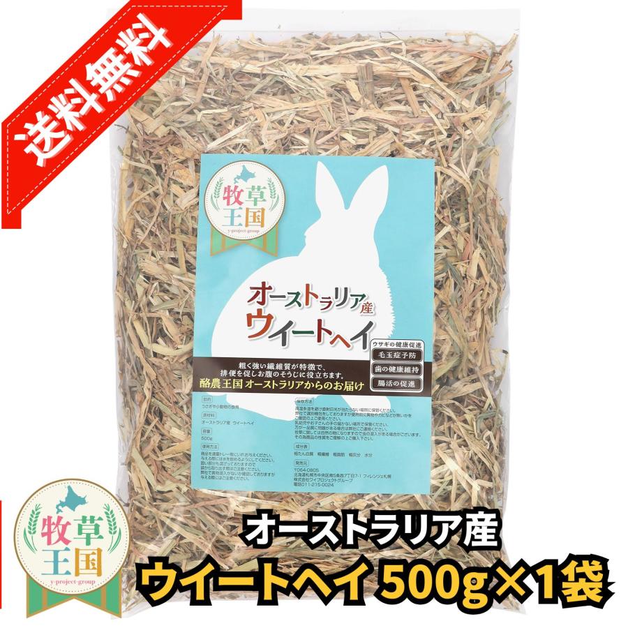 牧草王国 うさぎ 牧草 オーストラリア産 特選ウイートヘイ 500g ウサギ