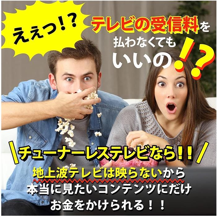 RCA チューナーレス テレビ 32V型 HD 地上波が映らない 大画面でネット