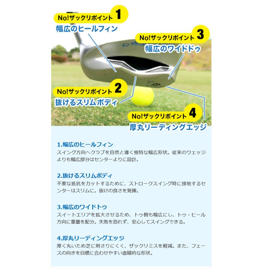 Dolphin Wedge キャスコ ドルフィン ピッチ ＆ ラン ウエッジ DPW-119