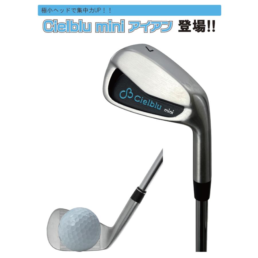 シェルブル mini アイアン ゴルフ 練習器 スイング練習 ミニ ヘッド