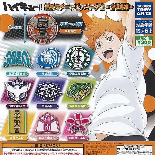ハイキュー 高校モチーフ ピンバッジ 2 宮城県編 全10種+ディスプレイ