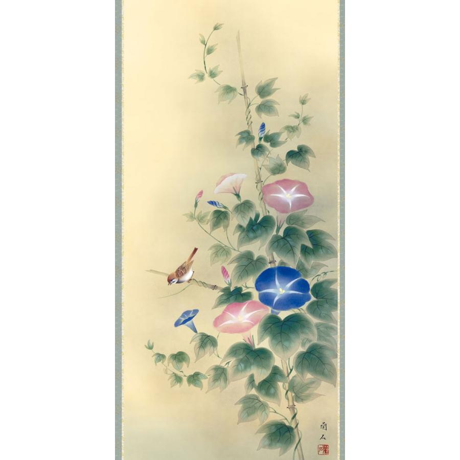 掛軸 (掛け軸) 夏用 朝顔 高見蘭石 尺五立 約横54.5cm×縦190cm g4104