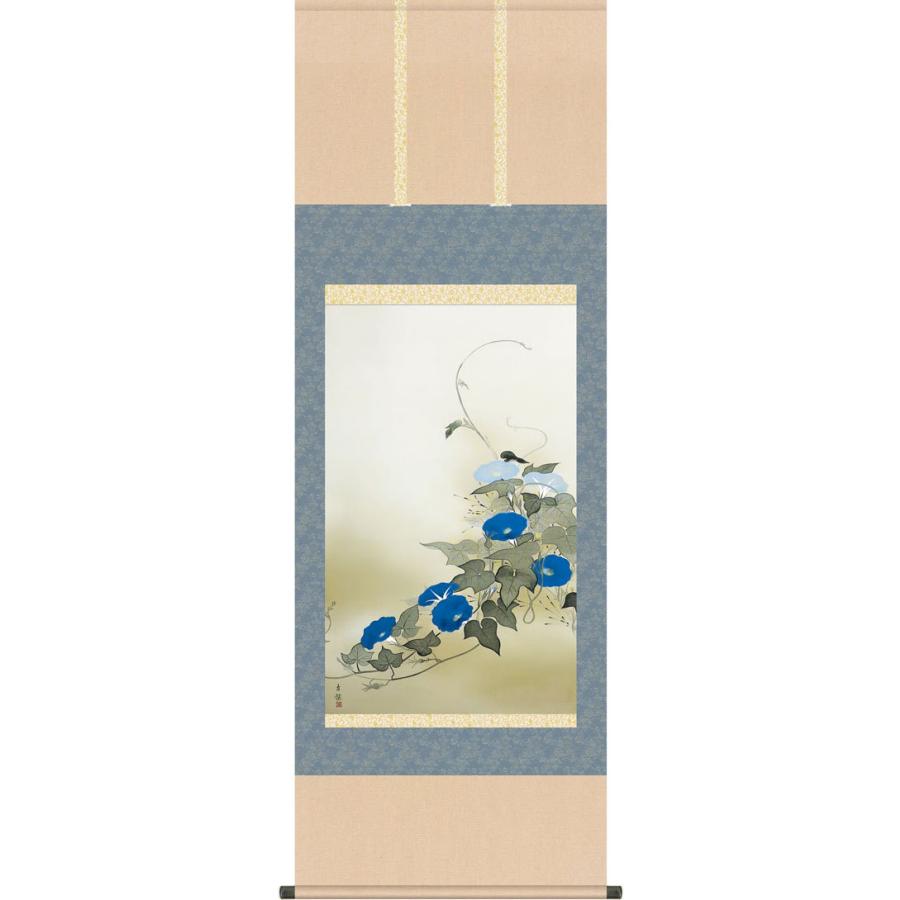 掛軸 (掛け軸) 朝顔 小林古径 尺五あんどん 約横54.5cm×縦150cm g6235