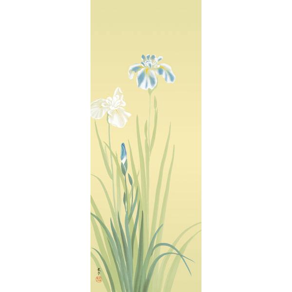 掛軸 (掛け軸) 花あやめ 菱田春草 尺五立 約横54.5cm×縦190cm g7032
