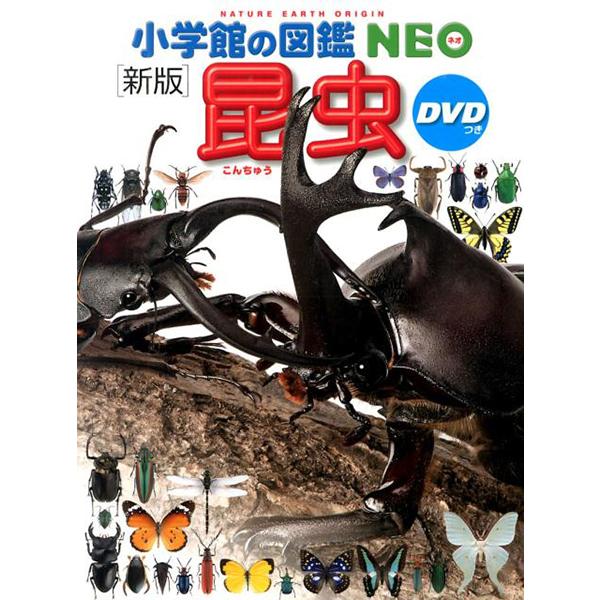 小学館の図鑑NEO［新版］昆虫 DVDつき（収納BOX付・送料無料・条件有