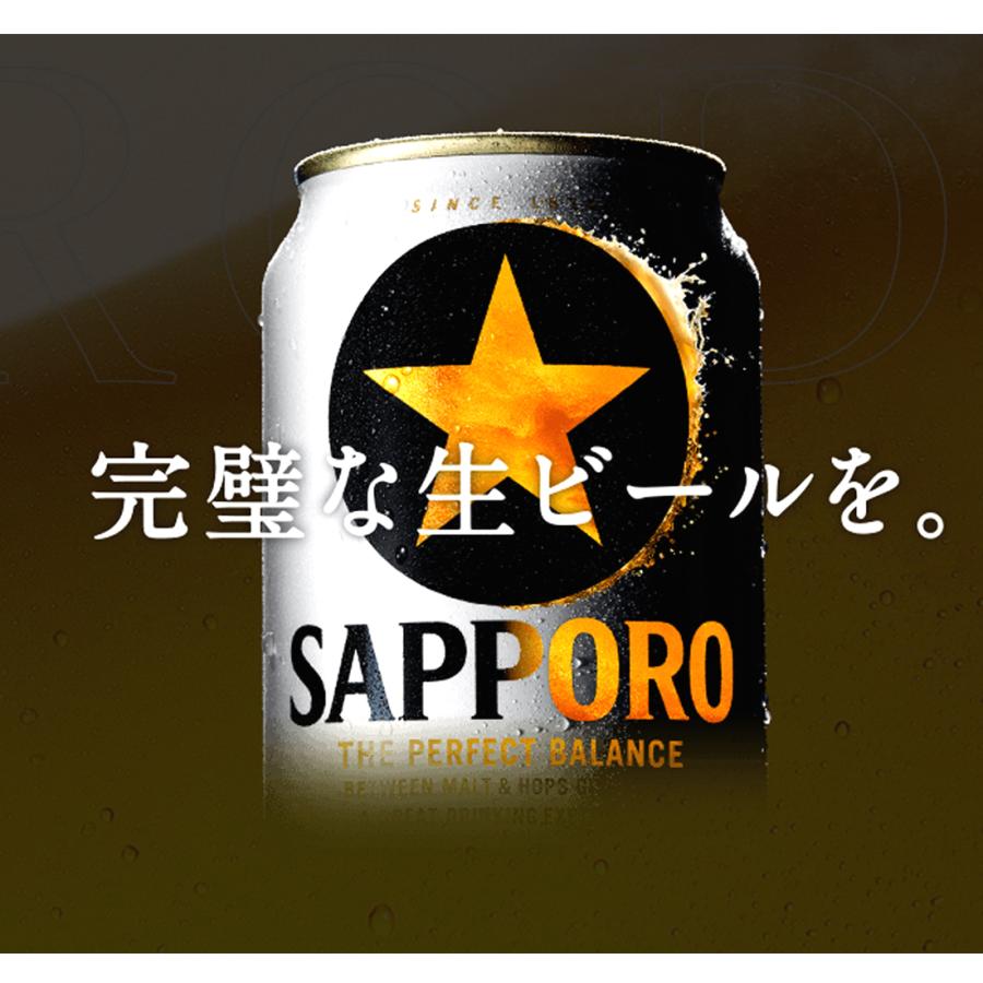 サッポロ 黒ラベル 500ml 24缶入 2ケース (48本) 送料無料 (一部地域