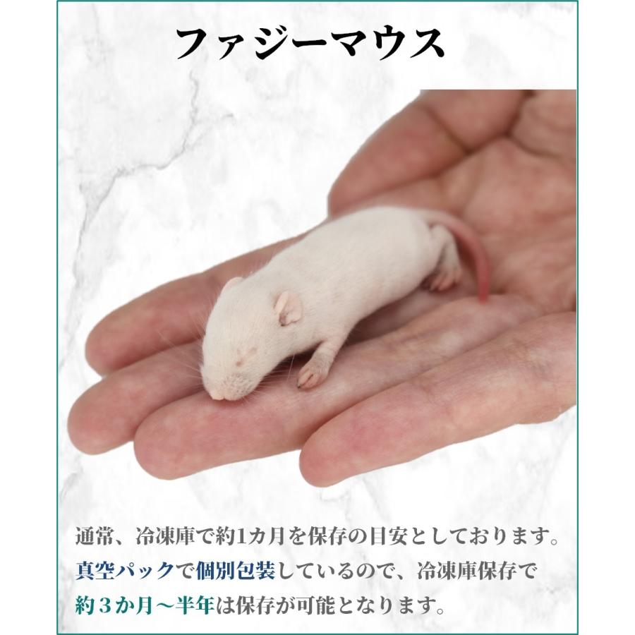 ZAZOO 国産 冷凍マウス ファジーマウス 6〜8 g 約5.0 cm 真空 個別包装