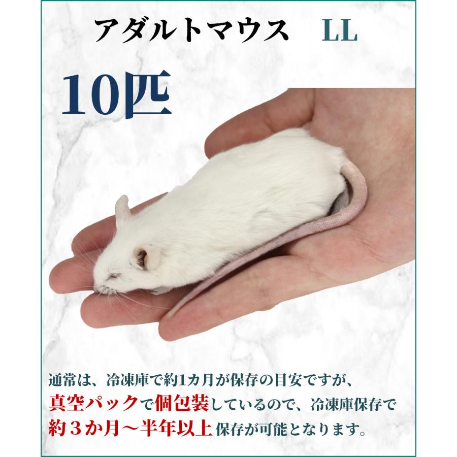 ZAZOO 国産 冷凍マウス アダルトLL 35g〜40g 9.5cm 真空 個別包装