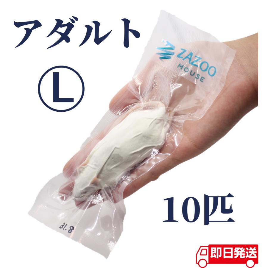 ZAZOO 国産 冷凍マウス アダルトL 28g〜35g 9cm 真空 個別包装 爬虫類