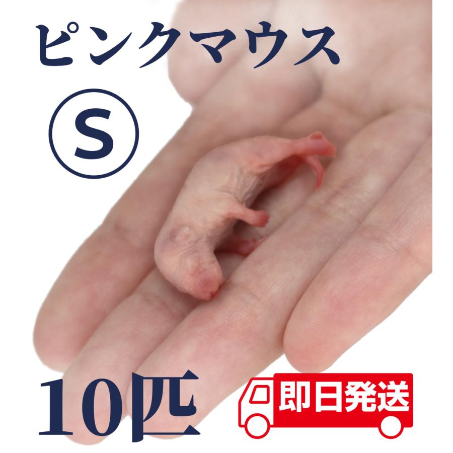 ZAZOO 国産 冷凍マウス ピンクマウスS 2〜3 g 約3.0 cm 真空 個別