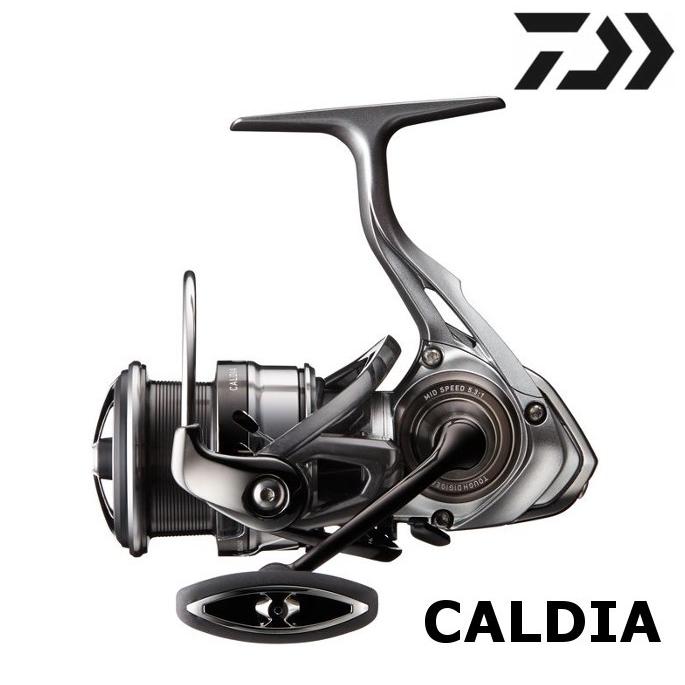 DAIWA（ダイワ） 18 カルディア LT6000D / CALDIA スピニングリール