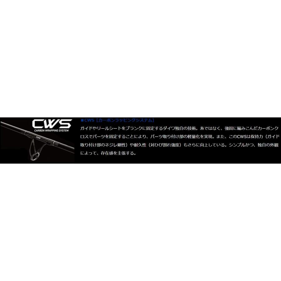 DAIWA（ダイワ） エメラルダス ストイスト ST 82ML-5 (アウトガイド