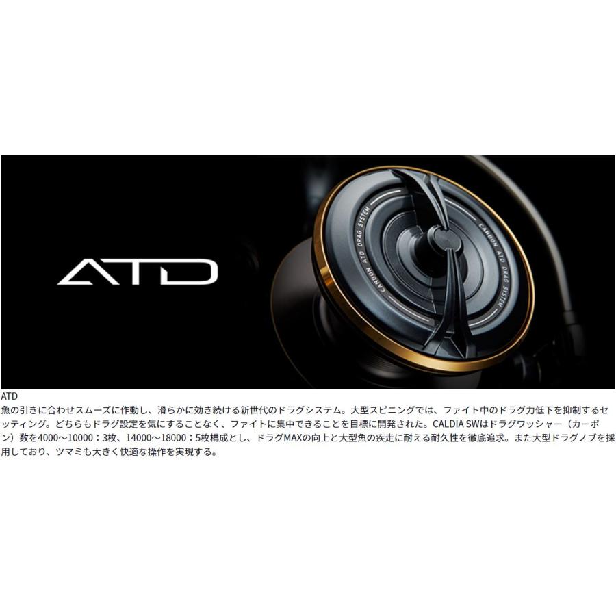 DAIWA（ダイワ） CALDIA(カルディア) SW10000-P : つり具の銭屋 - 通販