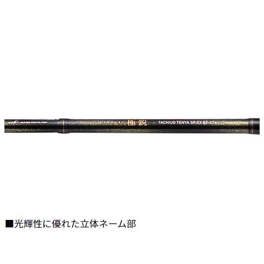 DAIWA（ダイワ） 極鋭タチウオテンヤSP EX 91-170 : つり具の銭屋