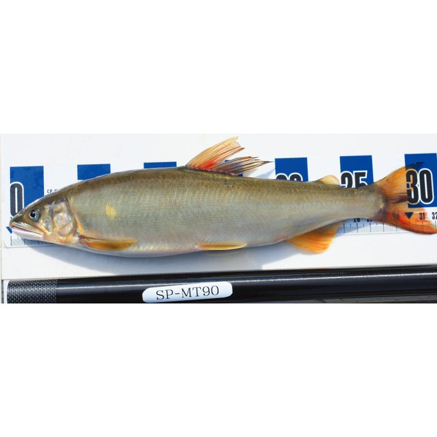 DAIWA（ダイワ） 鮎竿 銀影競技 スペシャル MT 90・J : つり具の銭屋