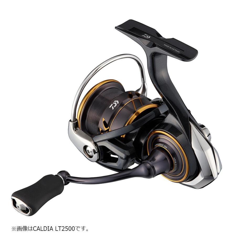 DAIWA（ダイワ） 21カルディア LT3000-CXH スピニングリール : つり具