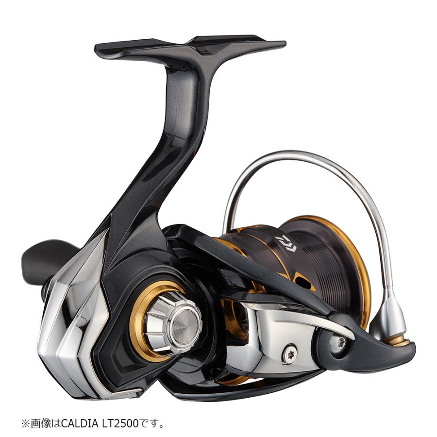 DAIWA（ダイワ） 21カルディア LT3000-CXH スピニングリール : つり具