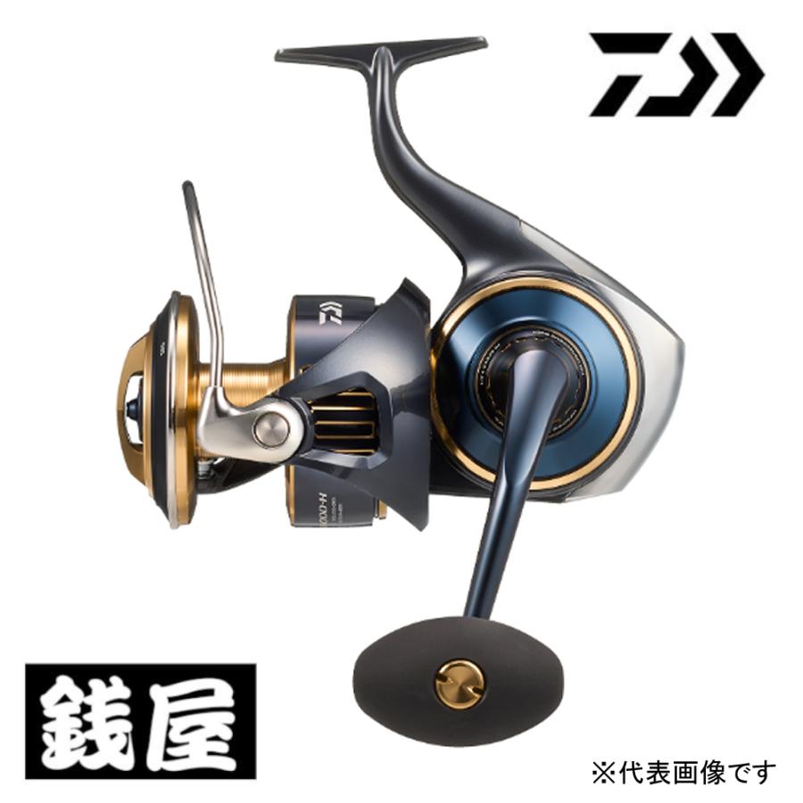 DAIWA（ダイワ） 25 ソルティガ 18000-H 送料無料 : つり具の銭屋