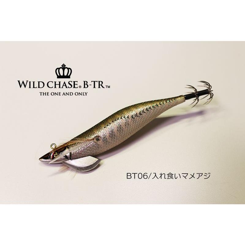 スクイッドマニア ワイルドチェイス B-TR 3.5号 30g / SQUID MANIA
