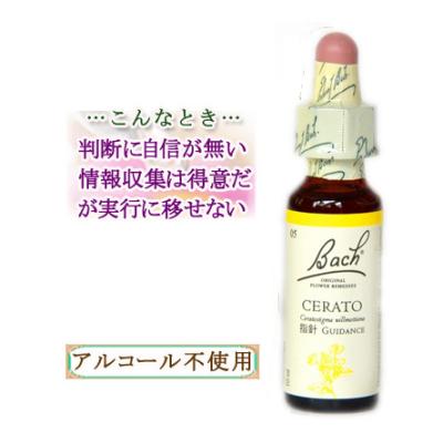 バッチフラワーレメディのおすすめ人気ランキングTOP100 - Yahoo