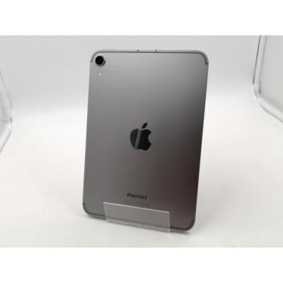 ipad mini a17 pro（スマホ、タブレット、パソコン）（ネットワーク