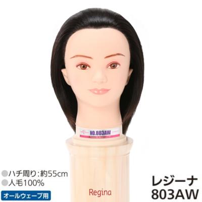 オールウェーブ 国家試験 ウィッグのおすすめ人気商品一覧 通販