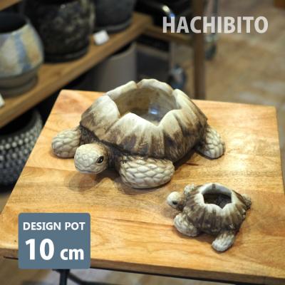 亀甲竜（植木鉢）｜鉢、プランター｜園芸用品 | 花、ガーデニング の