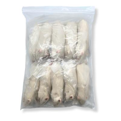 冷凍マウス リタイアのおすすめ人気商品一覧 通販 - Yahoo!ショッピング