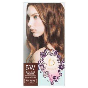 BENEFIQUE 資生堂 ベネフィーク ヘアカラー 5W : コスメビレッジ