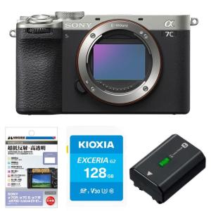 Zシリーズ（Nikon） [新品]Nikon ニコン Zfc ボディ シルバー