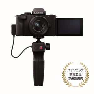 LUMIX Panasonic パナソニック ミラーレス一眼カメラ DC-G100D ボディ