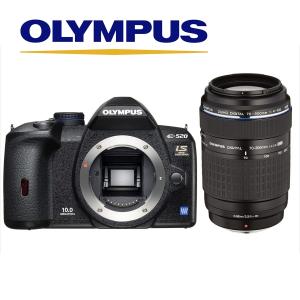 ニコン（Nikon） Nikon D500 ボディ カメラ レンズ 一眼レフ 中古