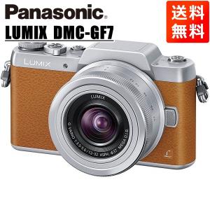 LUMIX パナソニック Panasonic ルミックス DC-GF9 12-32mm レンズ