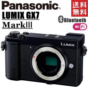 LUMIX パナソニック Panasonic ルミックス DC-GF9 12-32mm レンズ