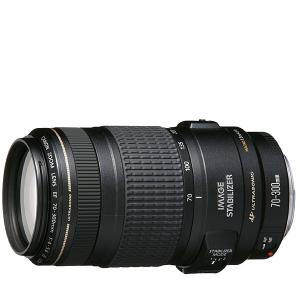 EFレンズ キヤノン Canon EF75-300mm F4-5.6 III 激安望遠ズームレンズ