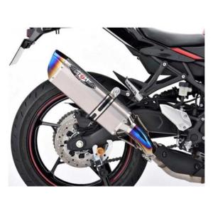 BEET（ビート） NASSERT(ナサート) R Evolution TypeII レーシング