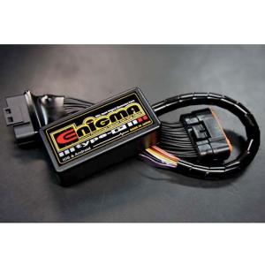 スペシャルパーツ武川 SP武川 FIコン TYPE-e （インジェクション