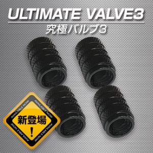 燃費向上グッズ レプトンハイパーバルブキャップDCT-X 車 トルクアップ